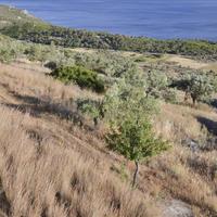 Земельный участок в Греции