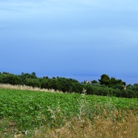 Земельный участок в Греции