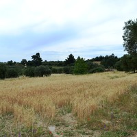 Земельный участок в Греции