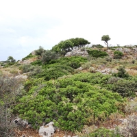 Земельный участок в Греции