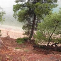 Земельный участок в Греции