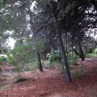 Земельный участок в Греции