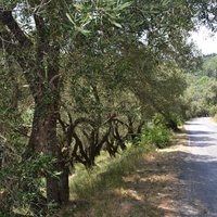 Земельный участок в Греции