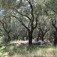 Земельный участок в Греции