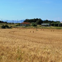 Land plot in Greece