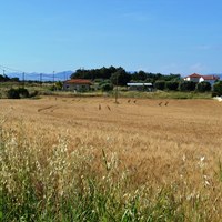 Land plot in Greece