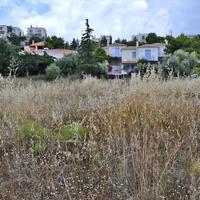 Land plot in Greece