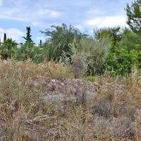 Land plot in Greece