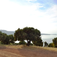 Земельный участок в Греции