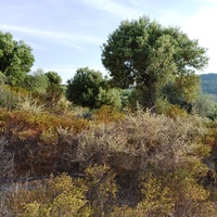 Земельный участок в Греции