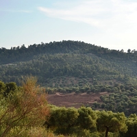 Земельный участок в Греции