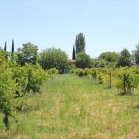 Земельный участок в Греции