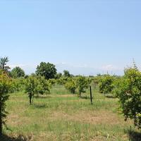 Земельный участок в Греции