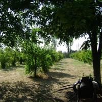 Земельный участок в Греции