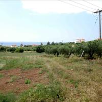 Земельный участок в Греции