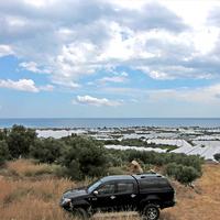 Land plot in Greece, 4000 sq.m.
