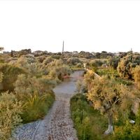 Business center in Greece, 262 sq.m.