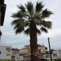 Отель (гостиница) в Греции, 510 кв.м.