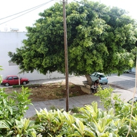 Flat in Greece, 75 sq.m.