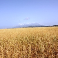 Земельный участок в Греции