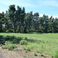 Земельный участок в Греции