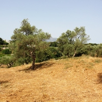 Земельный участок в Греции