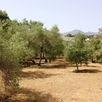 Земельный участок в Греции