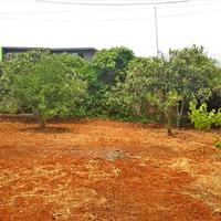 Земельный участок в Греции