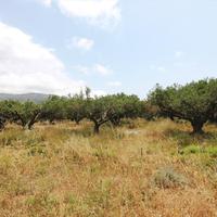 Земельный участок в Греции, 4613 кв.м.