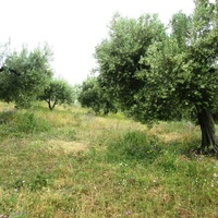 Земельный участок в Греции