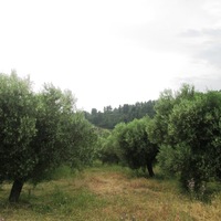 Земельный участок в Греции