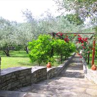 Villa in Greece, 255 sq.m.