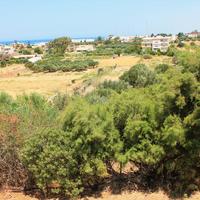 Land plot in Greece, 830 sq.m.
