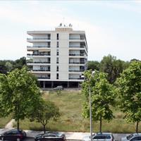 Другое в Греции