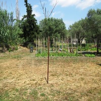 Land plot in Greece