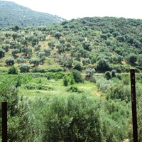 Land plot in Greece