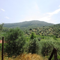 Land plot in Greece