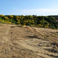 Land plot in Greece
