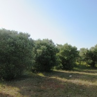 Land plot in Greece