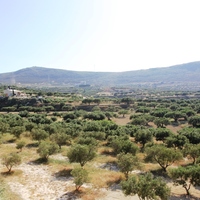 Land plot in Greece
