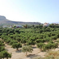 Land plot in Greece