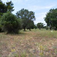 Земельный участок в Греции