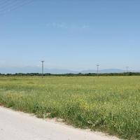 Land plot in Greece