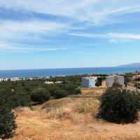 Земельный участок в Греции, 6000 кв.м.