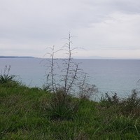 Земельный участок в Греции, 5535 кв.м.