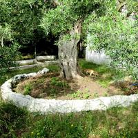 Other in Greece, 80 sq.m.