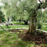 Other in Greece, 80 sq.m.