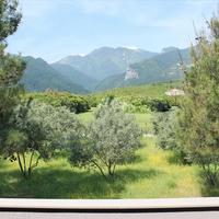 Business center in Greece, 500 sq.m.