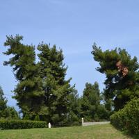 Other in Greece, 140 sq.m.