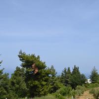 Other in Greece, 140 sq.m.